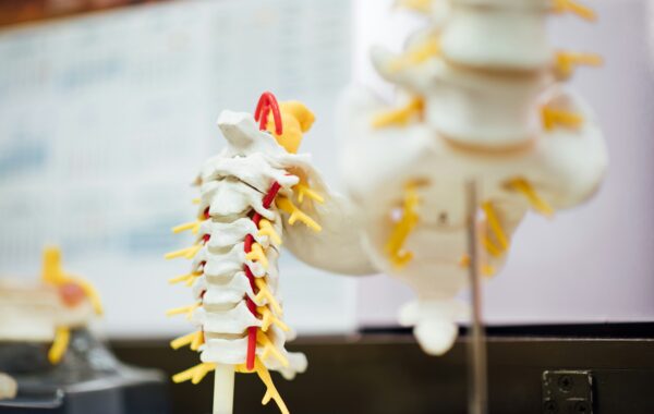 dr egma chiropracteur a marrakech egma academy 2